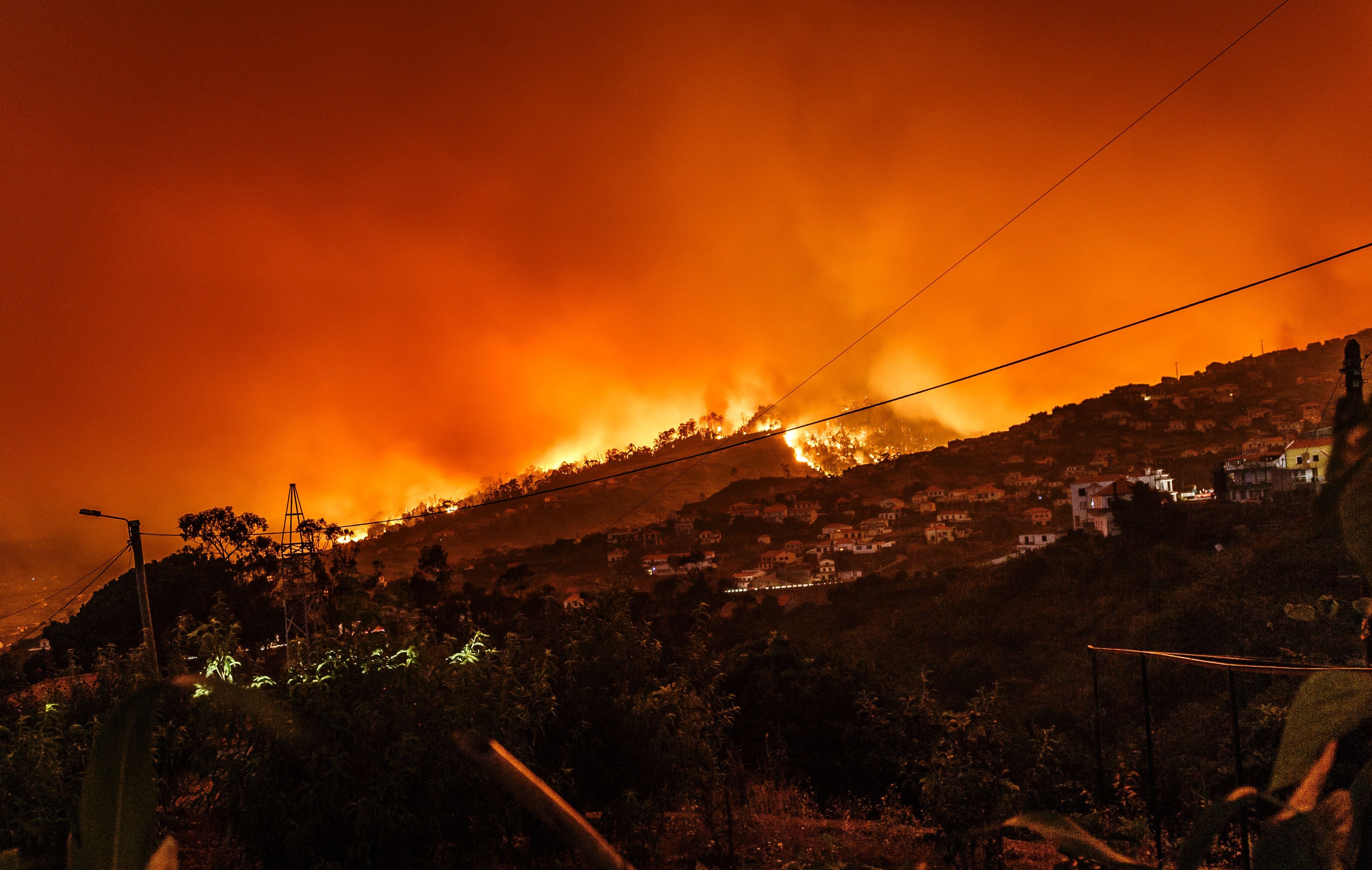 Natural Disasters
